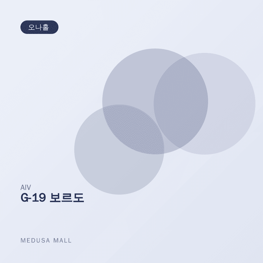 G-19 보르도 이미지