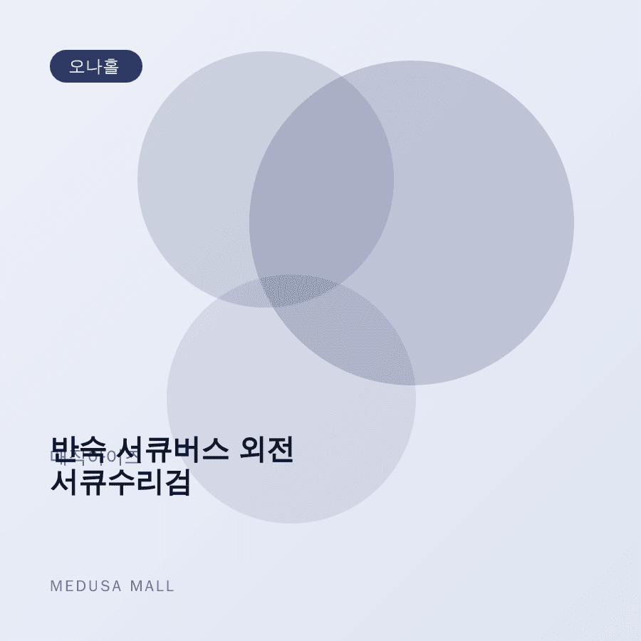 반숙 서큐버스 외전 서큐수리검 이미지
